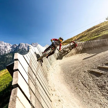 Neumayer フィーホーフェン