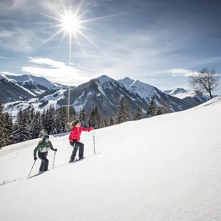 Neumayer フィーホーフェン